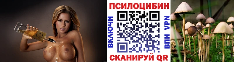 OMG вход  Яблоновский  Псилоцибиновые грибы MAGIC MUSHROOMS 